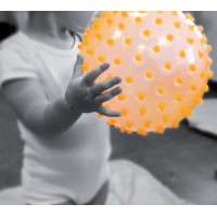 Minge senzoriala Orange Ludi