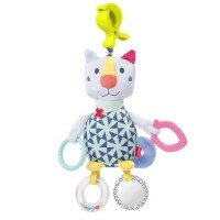 Centru de activitati - Pisicuta