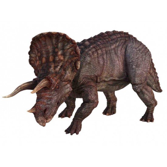 Diapozitive Dinozauri