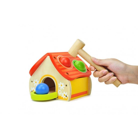 Jucarie dexteritate - Casuta bilutelor