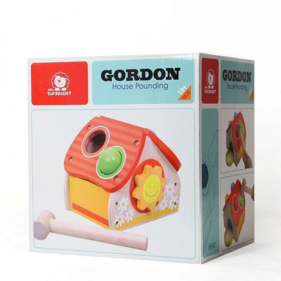 Jucarie dexteritate - Casuta bilutelor