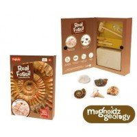 Kit paleontologie - Descopera fosile