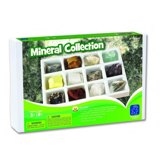 Kit paleontologie - Minerale