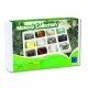 Kit paleontologie - Minerale
