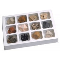 Kit paleontologie - Roci sedimentare