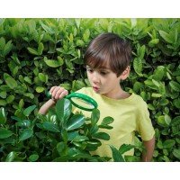 Lupa exploratorului Brainstorm