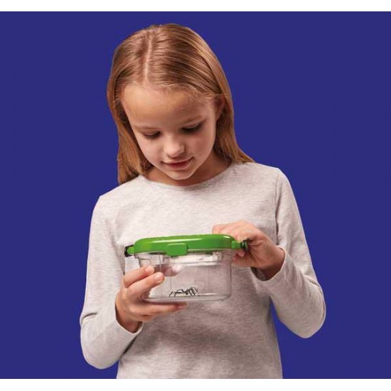 Observatorul pentru insecte