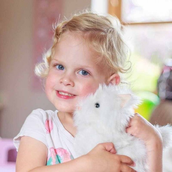 Jucarie interactiva Pisicuta plimbareata