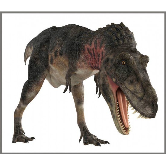 Proiector 2 in 1 - Dinozauri