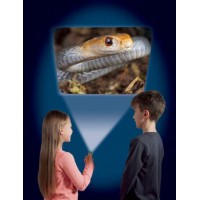 Proiector tip lanterna - Animale periculoase