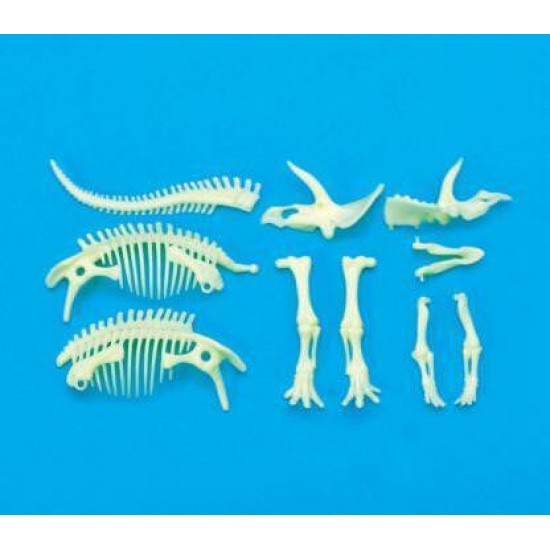 Schelet Triceratops reflectorizant