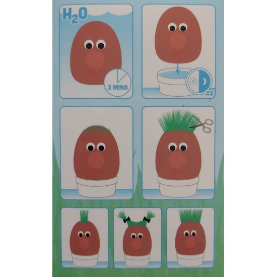 Set experimente - Cap de iarba