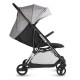 Carucior sport Kidwell Flash Gray