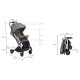 Carucior sport Kidwell Mavero Silver Brown