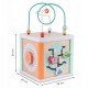 Jucarie educativa cub din lemn Ecotoys 1031