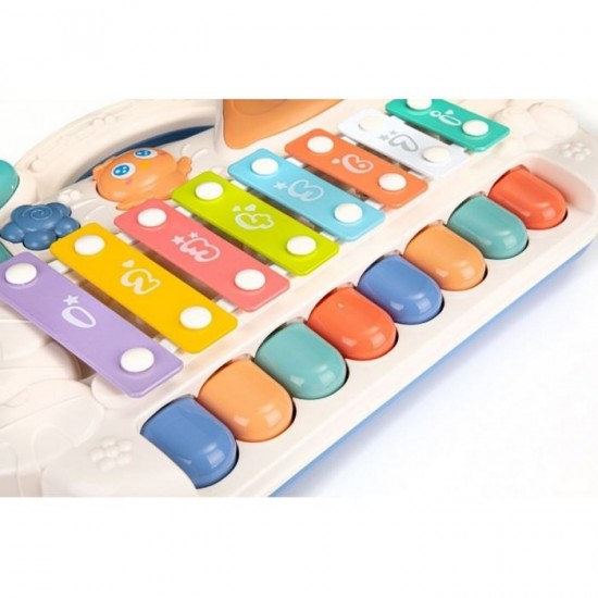 Pian cu tambal educational cu LED si sunet Ecotoys