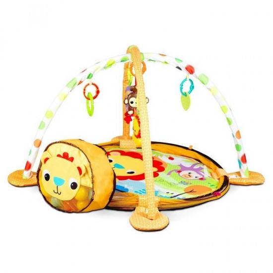 Salteluta de joaca cu bile Ecotoys Leu