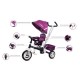 Tricicleta cu sezut reversibil Sun Baby 002 Super Trike Plus Burgundy