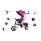 Tricicleta cu sezut reversibil Sun Baby 002 Super Trike Plus Burgundy