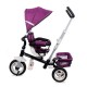 Tricicleta cu sezut reversibil Sun Baby 002 Super Trike Plus Burgundy