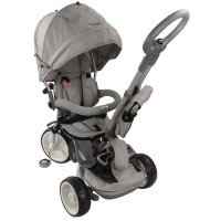 Tricicleta cu sezut reversibil Sun Baby 007 Little Tiger - Grey