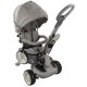 Tricicleta cu sezut reversibil Sun Baby 007 Little Tiger - Grey