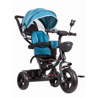 Tricicleta copii cu sezut rotativ Ecotoys JM-066-9 - Albastru/Verde