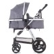 Carucior Chipolino Havana 2 in 1 Graphite