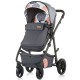 Carucior Chipolino Milo 2 in 1 Ash
