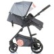 Carucior Chipolino Milo 2 in 1 Ash