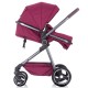 Carucior transformabil Chipolino Noah 2 in 1 Orchid Linen