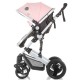Carucior 2 in 1 Chipolino Terra Rose Pink