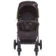Carucior sport Chipolino Mixie Carbon