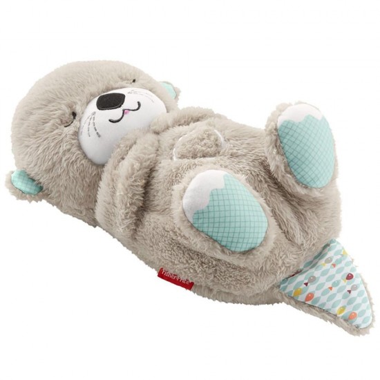 Jucarie plus Fisher-Price Newborn Vidra