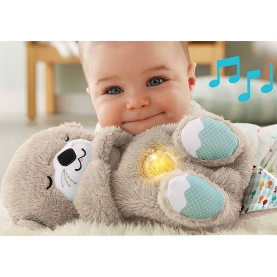Jucarie plus Fisher-Price Newborn Vidra