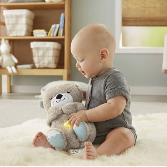 Jucarie plus Fisher-Price Newborn Vidra