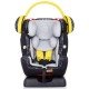 Scaun auto Chipolino 4 Max 0-36 kg Beige