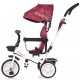 Tricicleta Chipolino Carretera Orchid