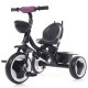 Tricicleta copii Chipolino Jazz Orchid