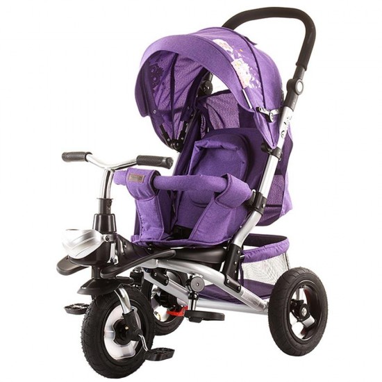 Tricicleta Chipolino Polar Amethyst