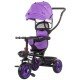 Tricicleta Chipolino Pulse Dhalia