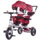 Tricicleta gemeni Chipolino 2Play Orchid