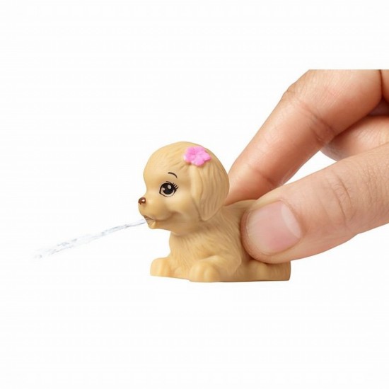 Set accesorii Barbie la piscina