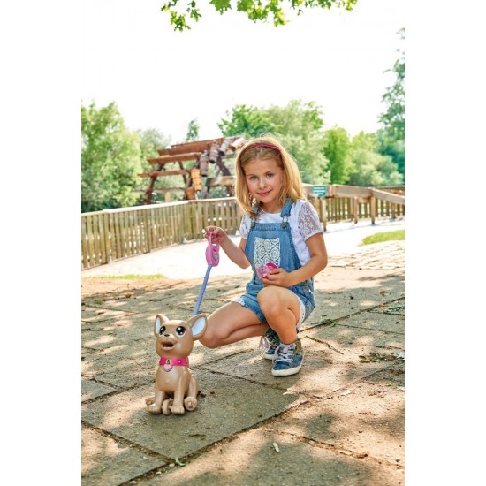 Catelus Chi Chi Love Poo Poo cu accesorii