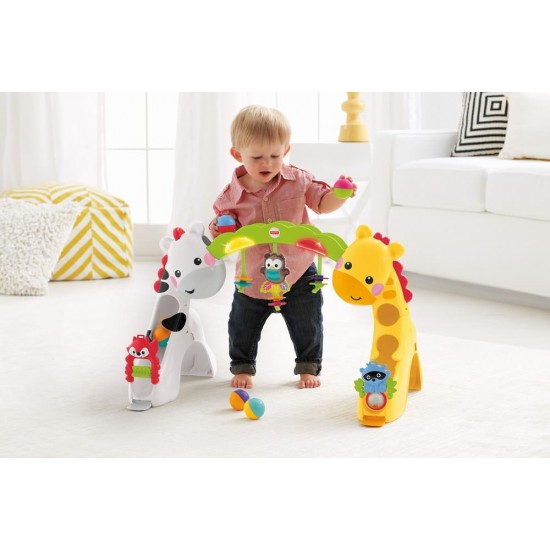 Centru de activitati 3 in 1 Fisher Price