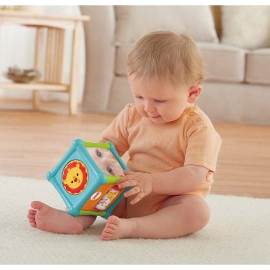 Cub Fishe-Price cu activitati animalute