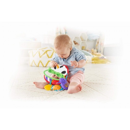 Mar cu activitati senzoriale Fisher Price 