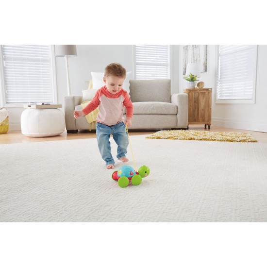 Jucarie de tras Broscuta testoasa Fisher Price