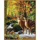 Kit pictura pe numere Schipper - Caprioare in padure