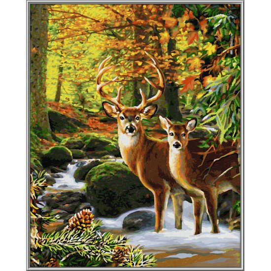 Kit pictura pe numere Schipper - Caprioare in padure
